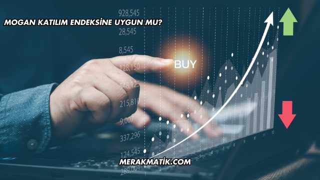 Mogan Katılım Endeksine Uygun mu?