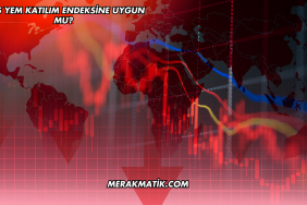 Ofis Yem Katılım Endeksine Uygun mu?