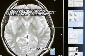 Okuduğunu Anlama Becerisi Nasıl Geliştirilir?