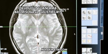 Okuduğunu Anlama Becerisi Nasıl Geliştirilir?