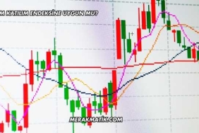 Petkim Katılım Endeksine Uygun mu?