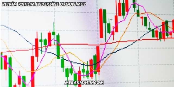 Petkim Katılım Endeksine Uygun mu?