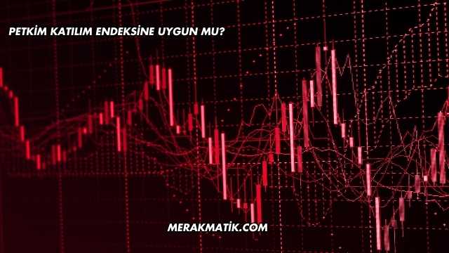 Petkim Katılım Endeksine Uygun mu?