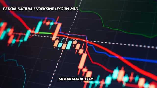 Petkim Katılım Endeksine Uygun mu?
