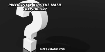 Prefrontal Korteks Nasıl Geliştirilir?