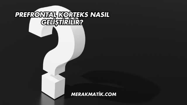 Prefrontal Korteks Nasıl Geliştirilir?