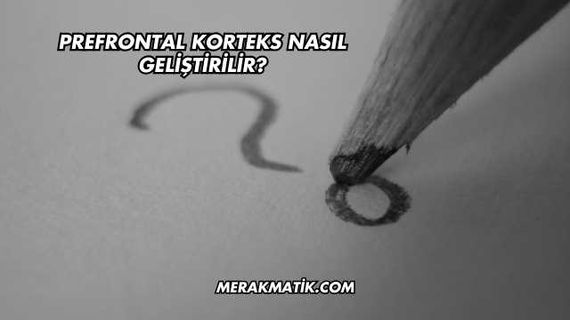 Prefrontal Korteks Nasıl Geliştirilir?