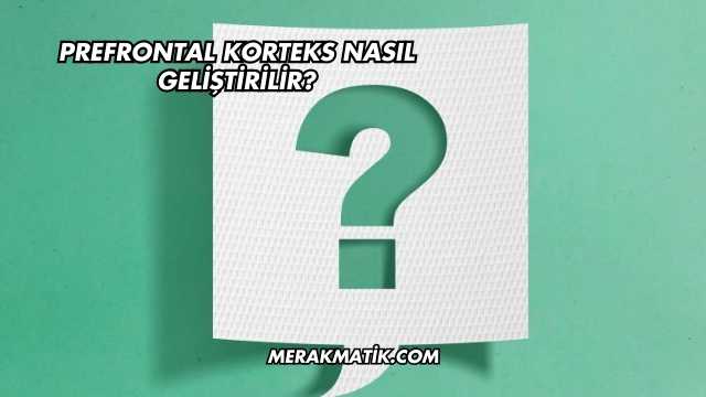 Prefrontal Korteks Nasıl Geliştirilir?