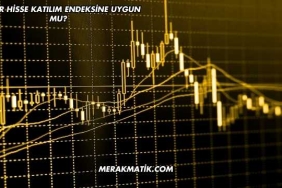 Reeder Hisse Katılım Endeksine Uygun mu?
