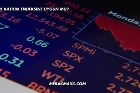 SAHOL Katılım Endeksine Uygun mu?