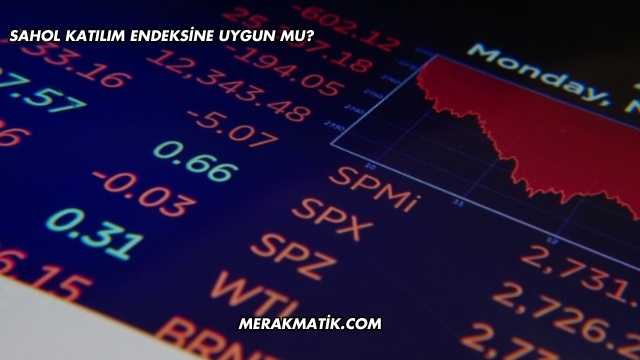 SAHOL Katılım Endeksine Uygun mu?