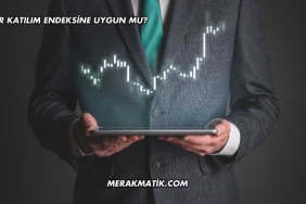 SDTTR Katılım Endeksine Uygun mu?