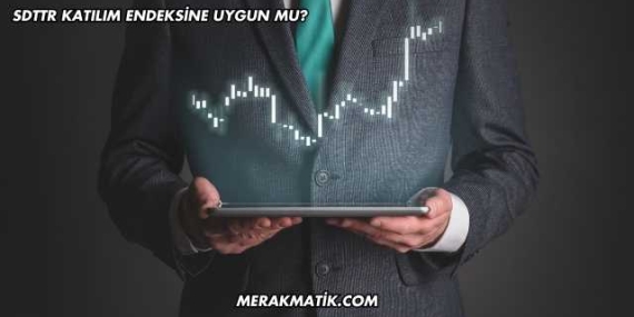 SDTTR Katılım Endeksine Uygun mu?
