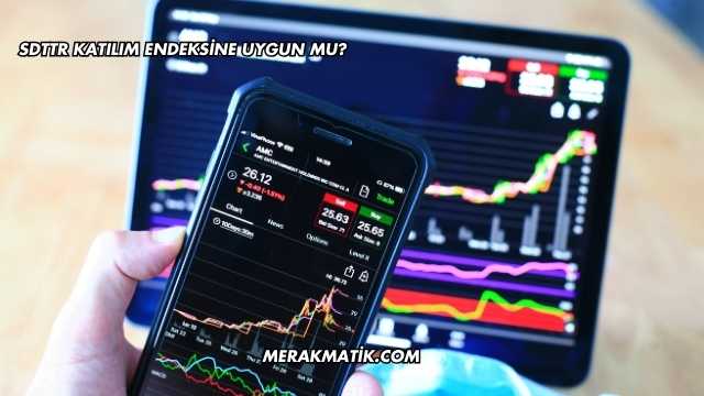 SDTTR Katılım Endeksine Uygun mu?
