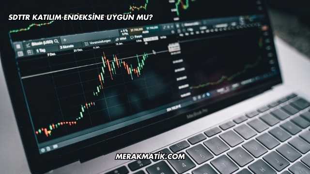 SDTTR Katılım Endeksine Uygun mu?