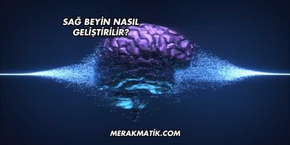 Sağ Beyin Nasıl Geliştirilir?