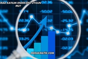 Skymad Katılım Endeksine Uygun mu?