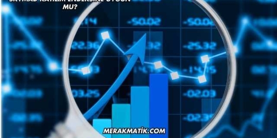 Skymad Katılım Endeksine Uygun mu?