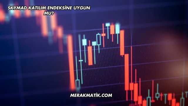 Skymad Katılım Endeksine Uygun mu?