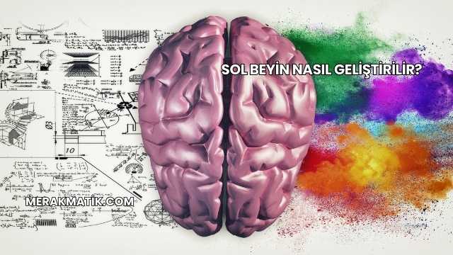 Sol Beyin Nasıl Geliştirilir?
