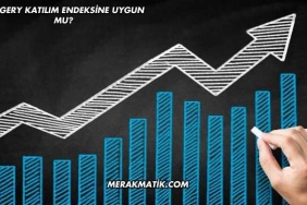 Surgery Katılım Endeksine Uygun mu?