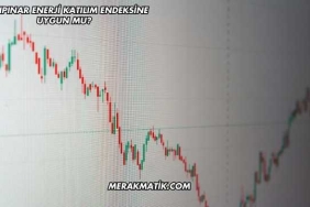 Tatlıpınar Enerji Katılım Endeksine Uygun mu?