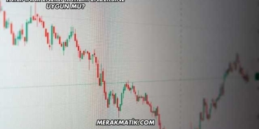 Tatlıpınar Enerji Katılım Endeksine Uygun mu?