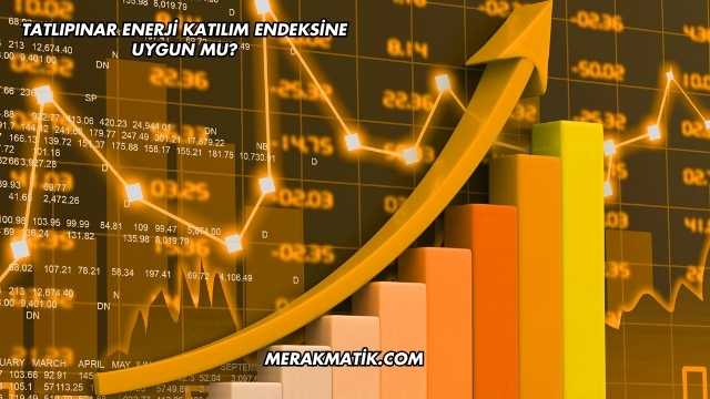 Tatlıpınar Enerji Katılım Endeksine Uygun mu?