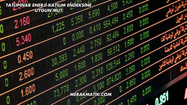 Tatlıpınar Enerji Katılım Endeksine Uygun mu?