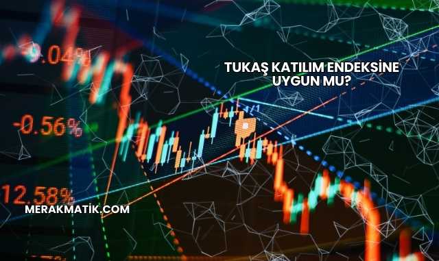 Tukaş Katılım Endeksine Uygun mu?