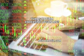 Tukaş Katılım Endeksine Uygun mu?