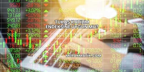 Tukaş Katılım Endeksine Uygun mu?