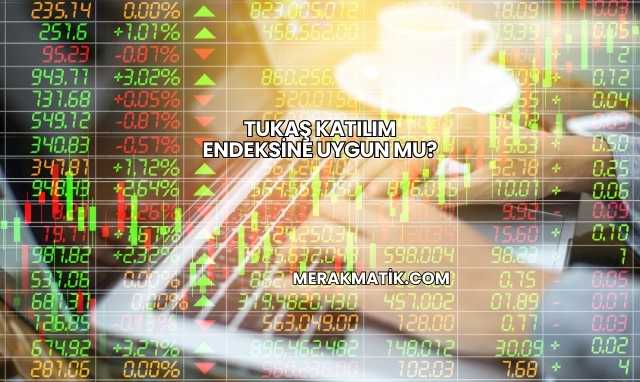 Tukaş Katılım Endeksine Uygun mu?