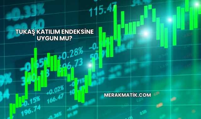 Tukaş Katılım Endeksine Uygun mu?