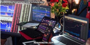 Tüpraş Katılım Endeksine Uygun mu?