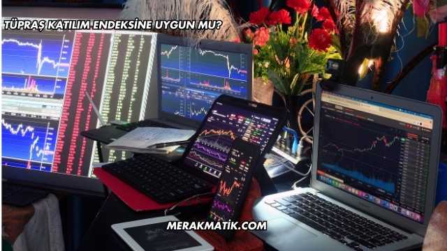 Tüpraş Katılım Endeksine Uygun mu?