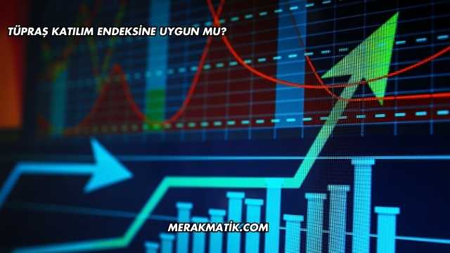 Tüpraş Katılım Endeksine Uygun mu?