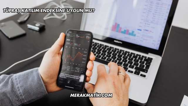 Tüpraş Katılım Endeksine Uygun mu?