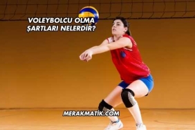 Voleybolcu Olma Şartları Nelerdir?