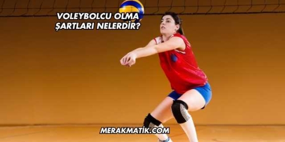 Voleybolcu Olma Şartları Nelerdir?