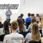 Yaşar Üniversitesi Mezun Olma Şartları Nelerdir?