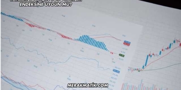 Yatırımcılar İçin YGYO Katılım Endeksine Uygun mu?