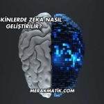 Yetişkinlerde Zeka Nasıl Geliştirilir?