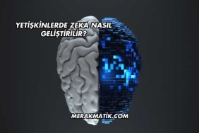 Yetişkinlerde Zeka Nasıl Geliştirilir?