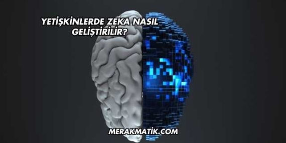 Yetişkinlerde Zeka Nasıl Geliştirilir?