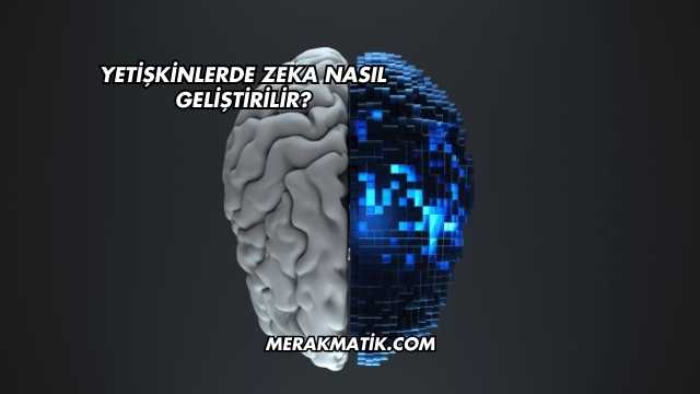 Yetişkinlerde Zeka Nasıl Geliştirilir?