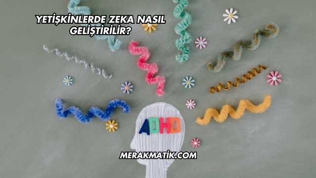 Yetişkinlerde Zeka Nasıl Geliştirilir?
