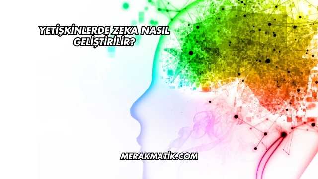 Yetişkinlerde Zeka Nasıl Geliştirilir?