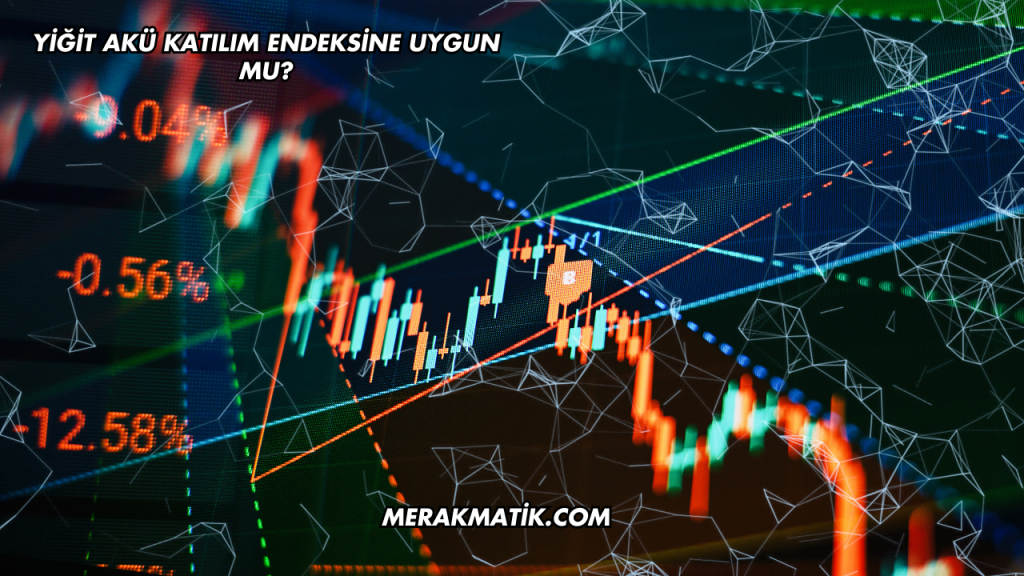 Yiğit Akü Katılım Endeksine Uygun mu?