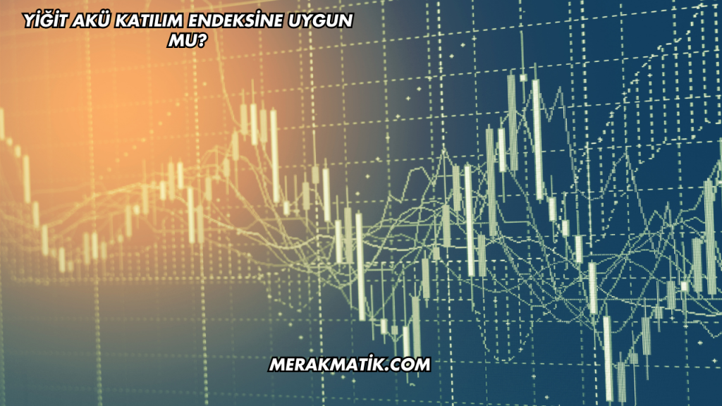 Yiğit Akü Katılım Endeksine Uygun mu?